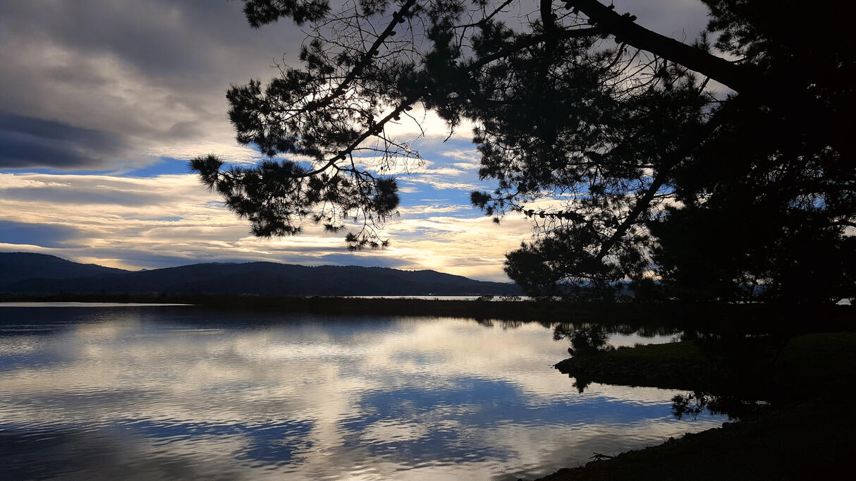 City of Arcata - Marsh & Wildlife Sanctuary